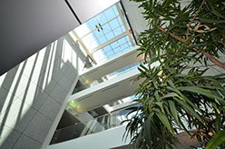 BYU N. Eldon Tanner Building Addition atrium with plants