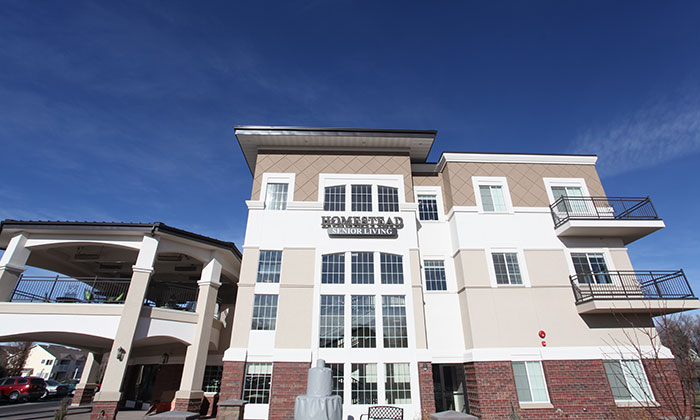 Homestead 4 steel canopy 2 level framing 